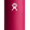 Hydro Flask Cooler Cup-Slim - Snapper 2 Hydro Flask Cooler Cup-Slim - Snapper -Hydro Flask Shop Hydro flask 12oz Slim Cooler Cup 1 88709.1658516667