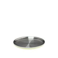 Hydro Flask 10 Inch Plate - Pineapple