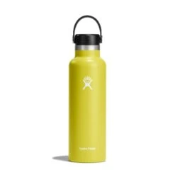 Hydro Flask 21 Oz Standard Mouth Water Bottle -Hydro Flask Shop s21sx752 cactus straighton