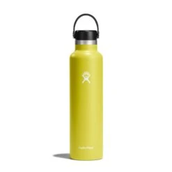 Hydro Flask 24 Oz Standard Mouth Water Bottle -Hydro Flask Shop s24fs752 cactus straighton 1