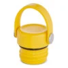 Hydro Flask Standard Flex Cap - Sunflower